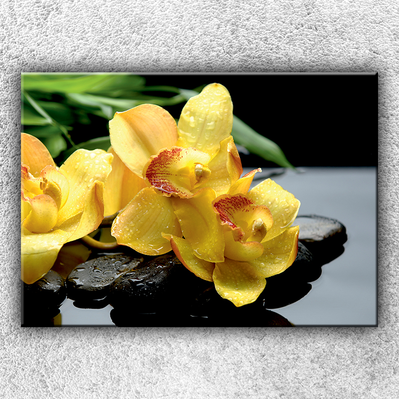 IMPAR Fotografie na plátno Žlutá orchidej na kamenech 2 70x50 cm