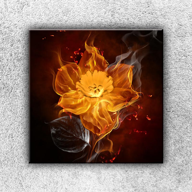 IMPAR Foto na plátno Květ v ohni 50x50 cm