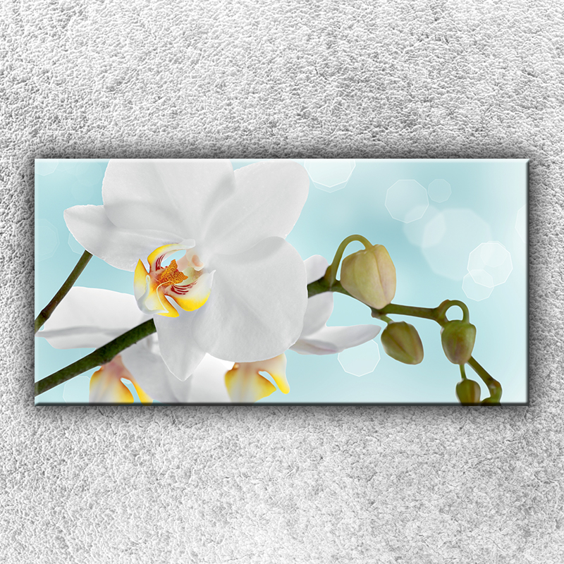 IMPAR Foto na plátno Bílá orchidej 2 100x50 cm