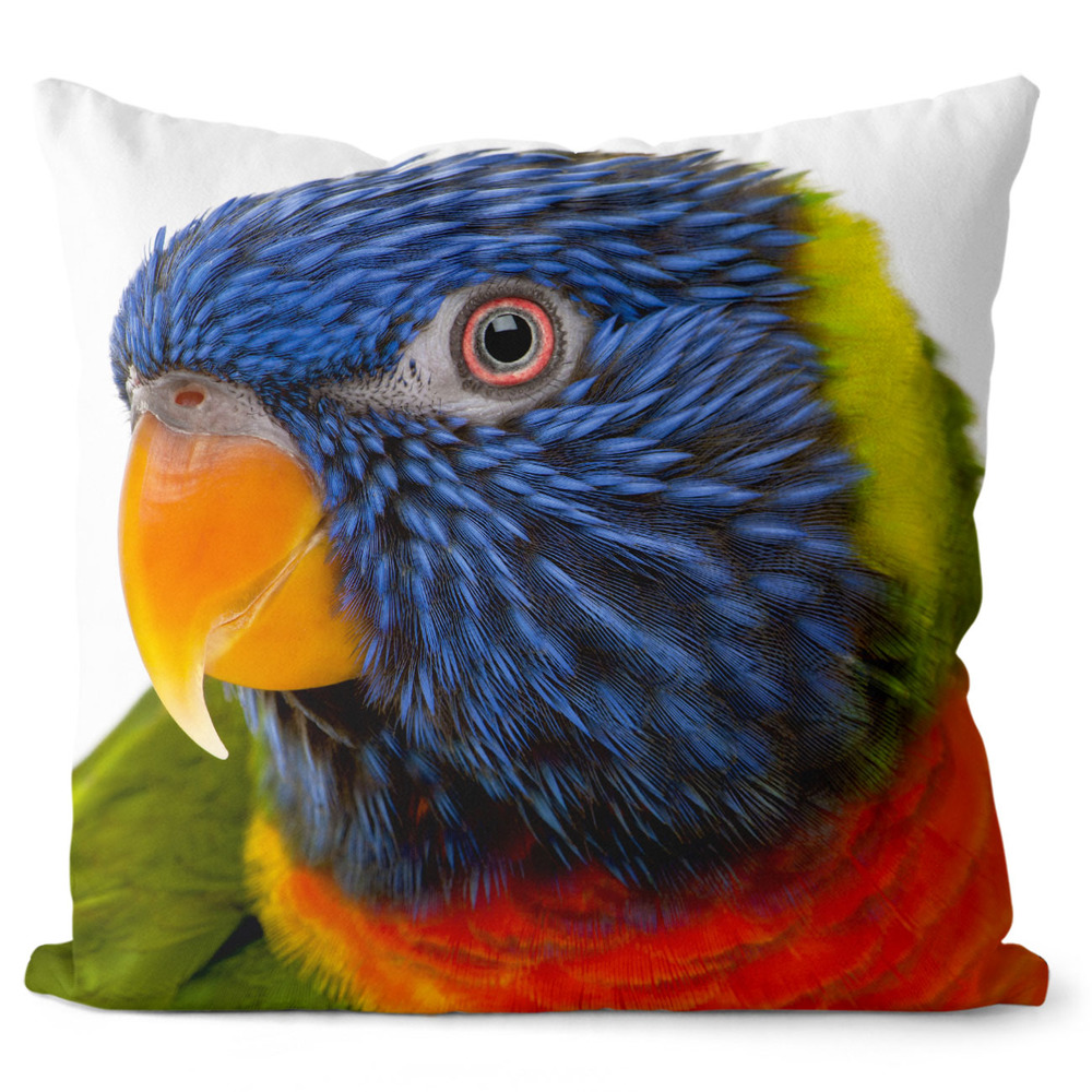 IMPAR Polštář Barevný papoušek 40x40 cm (Velikost: 55 x 55 cm)