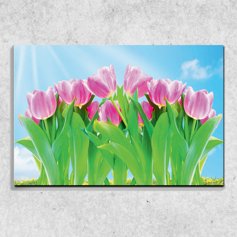Foto na plátně Tulipány 90x60 cm