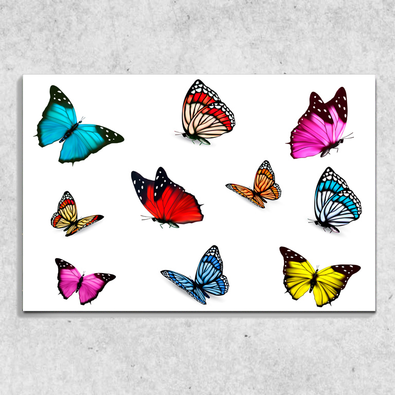 Foto na plátně Motýlci 90x60 cm