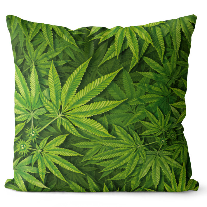 Polštář Cannabis (Velikost: 40 x 40 cm)