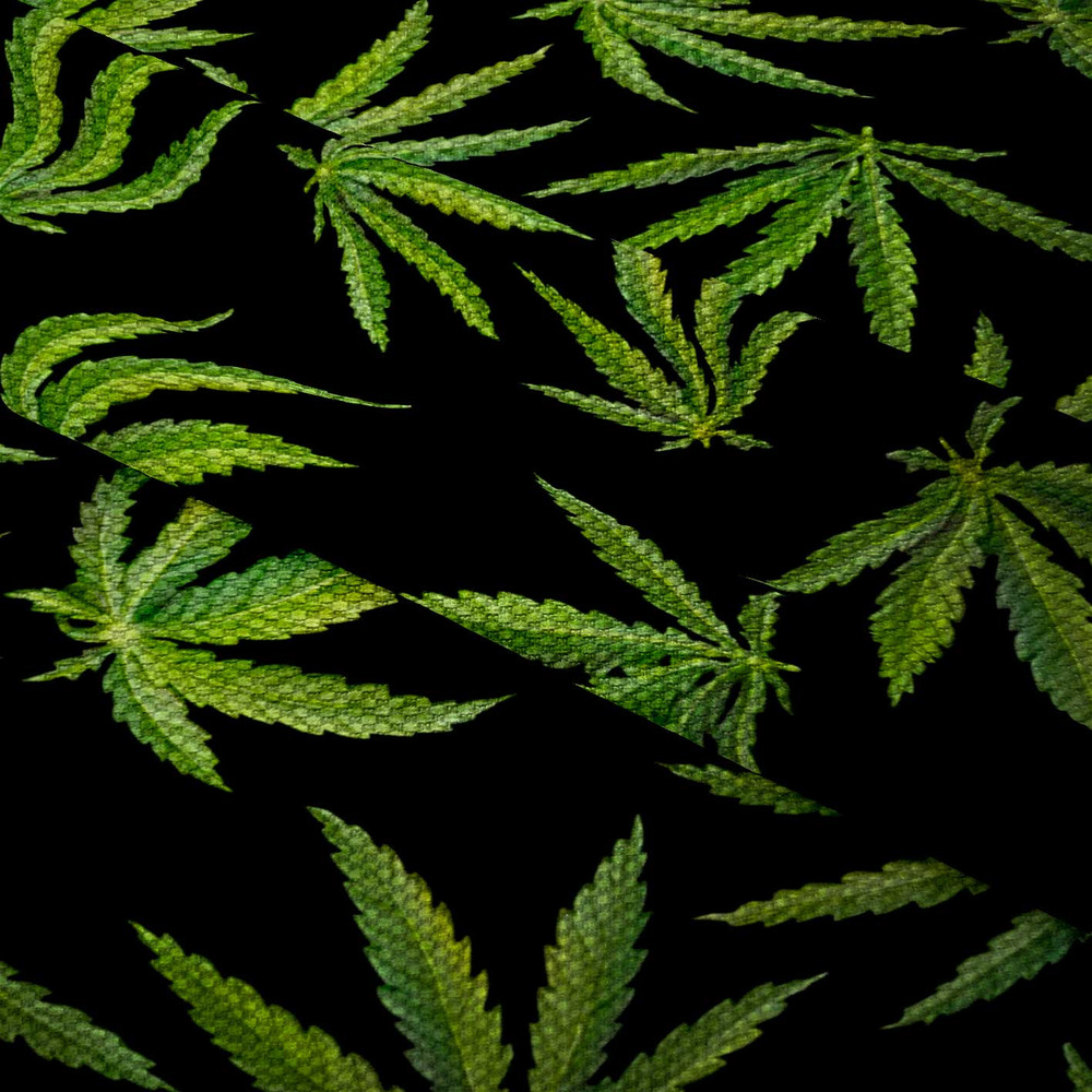 Nepromokavá tkanina – Cannabis