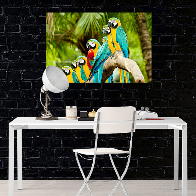 Obraz Papoušci (Rozměr obrazu: 90x60)