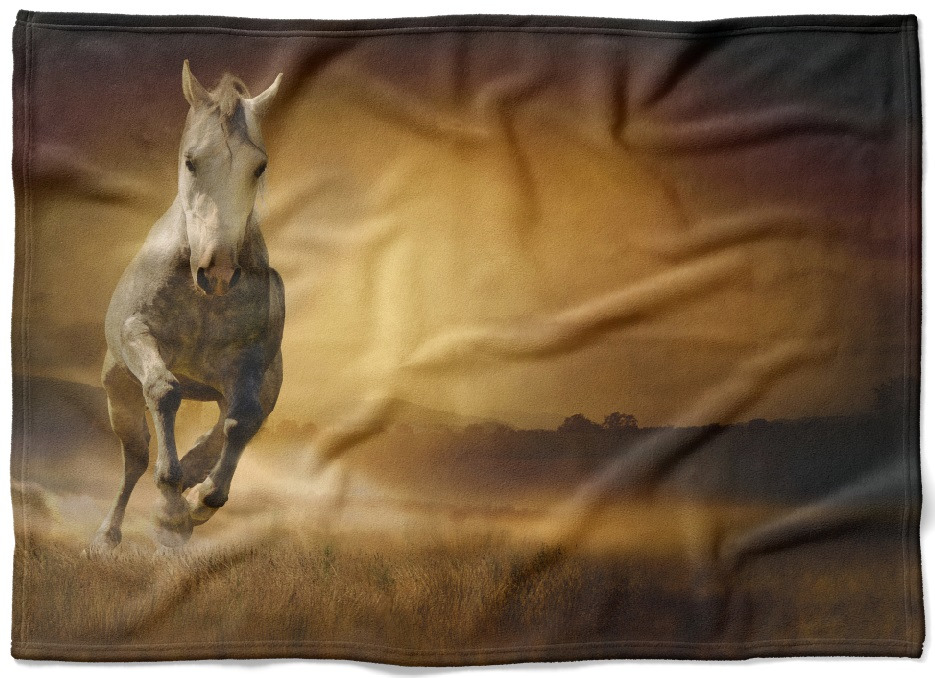 IMPAR Fleecová deka Kůň v poli 150x120 cm (Rozměr : 150 x 120 cm, Podšití beránkem: NE)