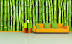 Fototapeta Zelený bambus