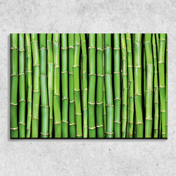 Foto na plátně Bambus 90x60 cm