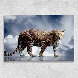 Foto na plátně Gepard 90x60 cm