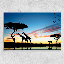Foto na plátně Noční safari 90x60 cm