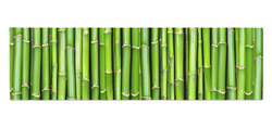 Běhoun Bambus