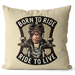 Polštář Born to ride