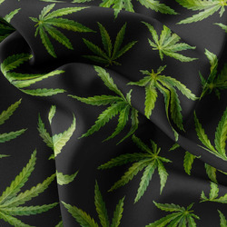 Teplákovina – Cannabis