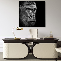 Obraz Gorilla