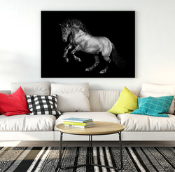 Obraz Kůň