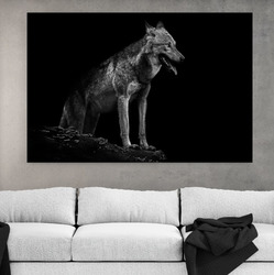 Obraz Wolf