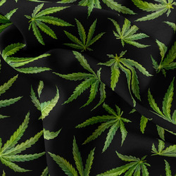 Mikroplyš – Cannabis