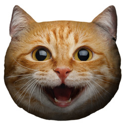 Kočičí hlava - Ginger