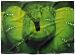 Deka Zelený had