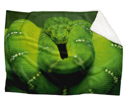 Deka Zelený had