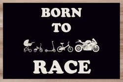 Prostírání Born to race