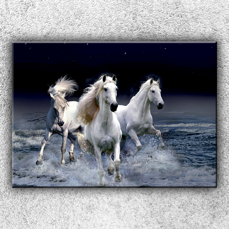 IMPAR Foto na plátno Divocí koně 1 70x50 cm