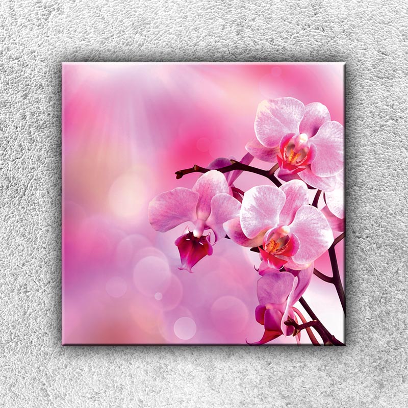 IMPAR Fotografie na plátno Růžová větvička 2 50x50 cm