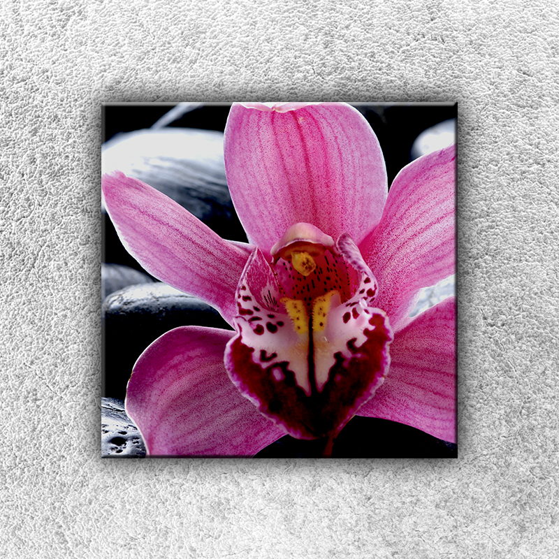 IMPAR Foto na plátno Fialková orchidej 1 30x30 cm