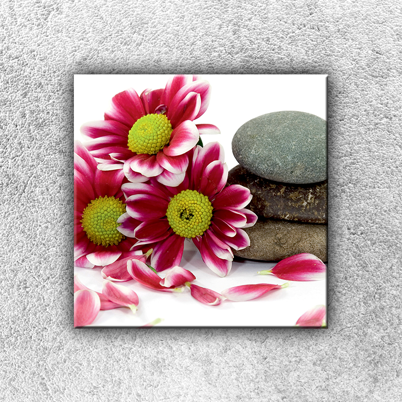 IMPAR Foto na plátno Květiny s kamením 1 30x30 cm