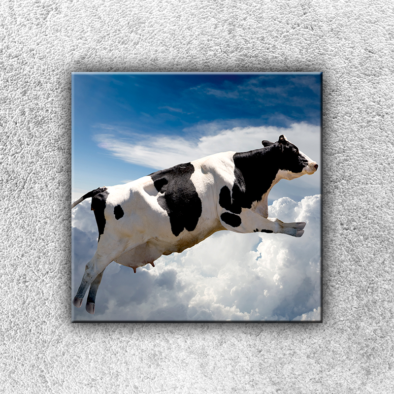 IMPAR Foto na plátno Létající kráva 30x30 cm