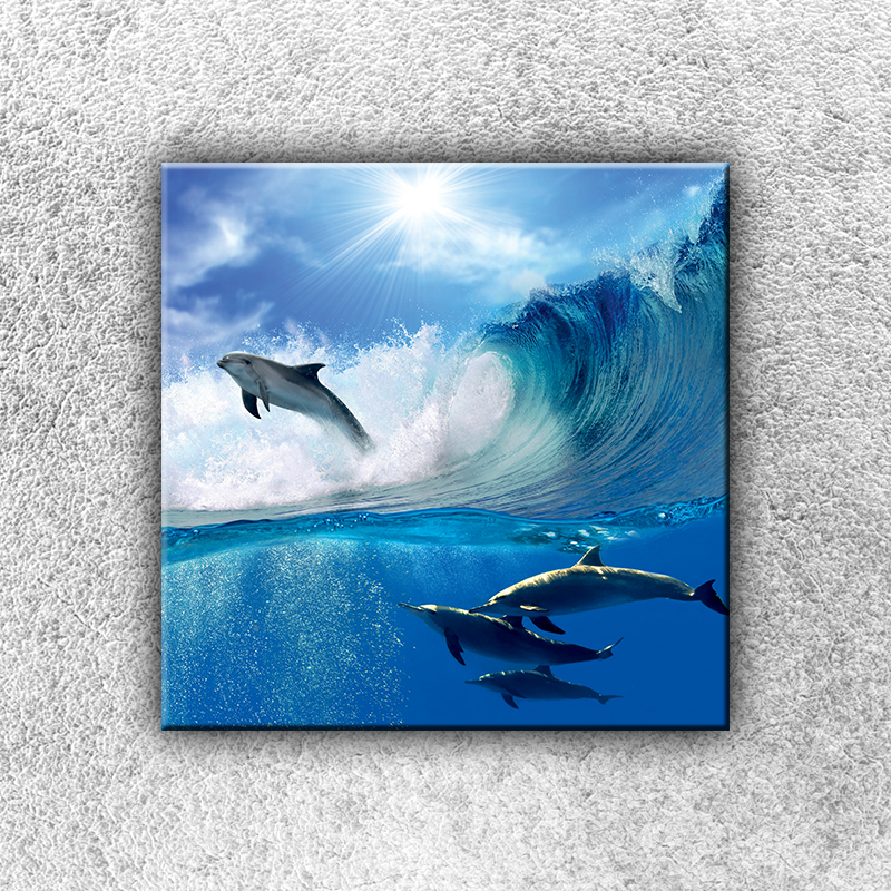 Foto na plátno Delfíni ve vlně 30x30 cm