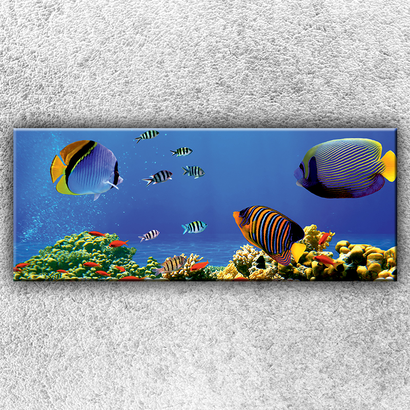 IMPAR Fotografie na plátno Ryby v moři 1 150x60 cm