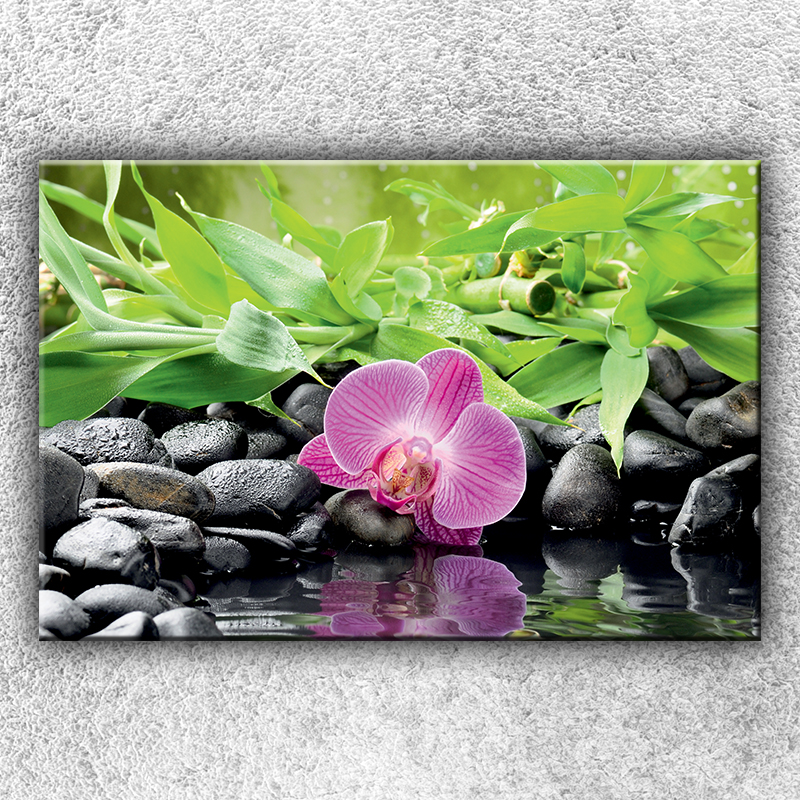 IMPAR Fotografie na plátno Růžová orchidej 2 120x80 cm