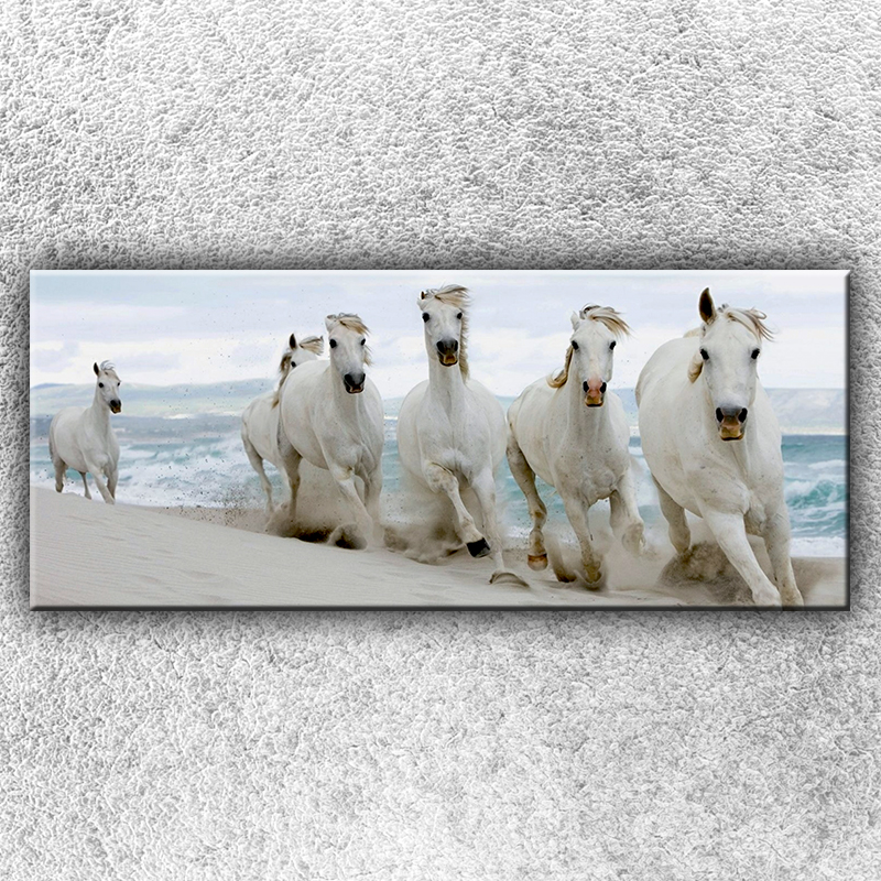 Foto na plátno Koně na pláži 1 120x50 cm