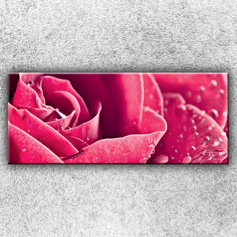Foto na plátno Růžová růže 2 120x50 cm