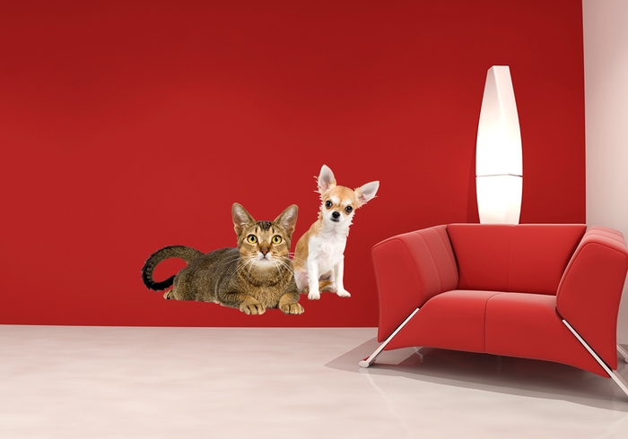 IMPAR Samolepka na zeď Pes a kočka (Velikost: 100 x 62 cm)