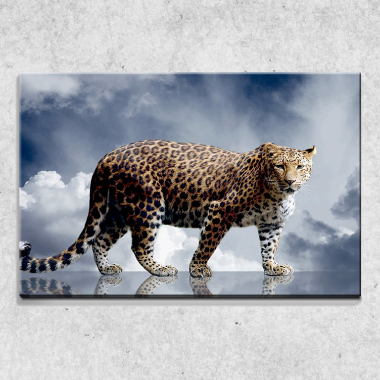 Levně Foto na plátně Gepard 90x60 cm