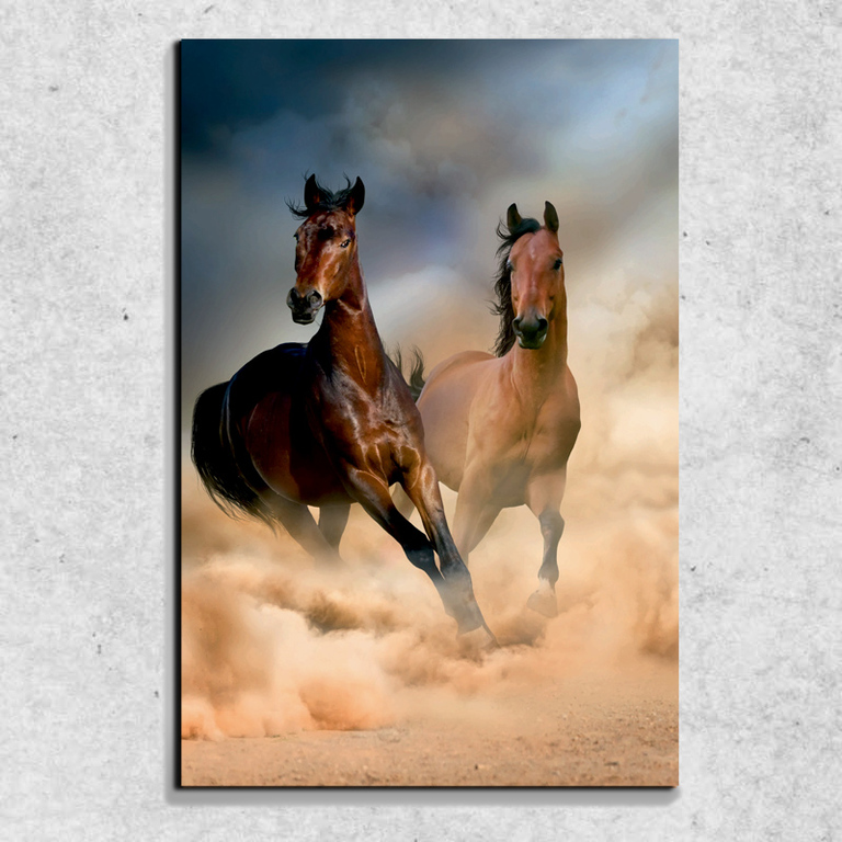 Foto na plátně Koně 90x60 cm