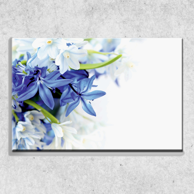 Foto na plátně Modré a bílé květy 90x60 cm