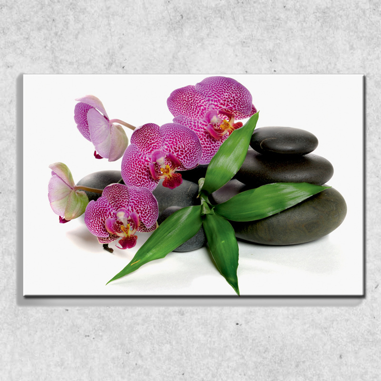 Foto na plátně Orchidej na kamenech 90x60 cm