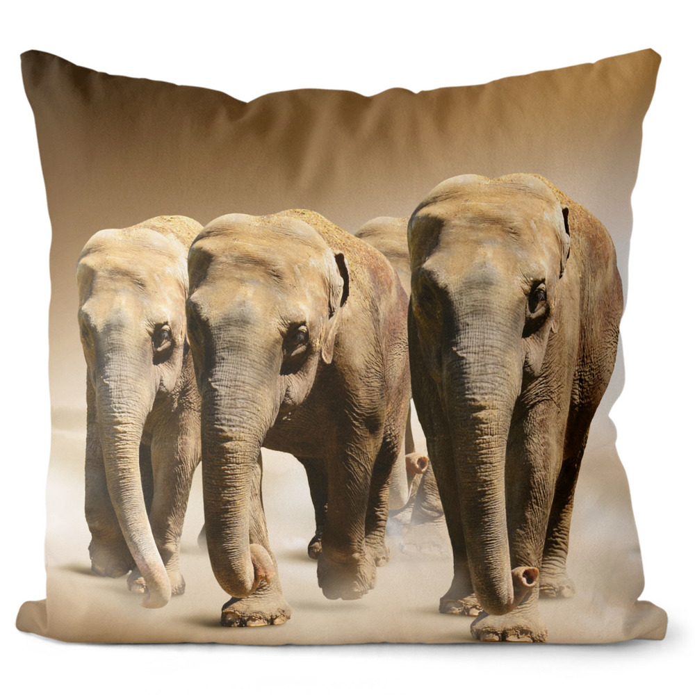 Polštář Stádo slonů (Velikost: 55 x 55 cm)