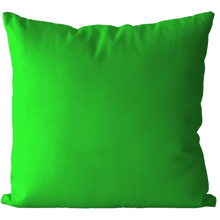 Polštář Zelený (Velikost: 40 x 40 cm, Výplň 40x40: )