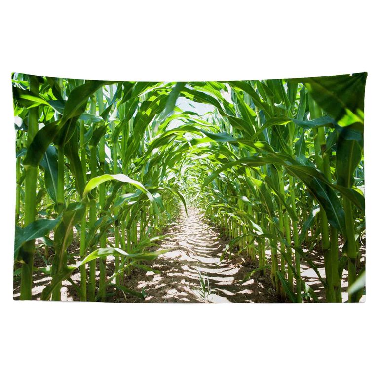 Tapestr Kukuřičné pole