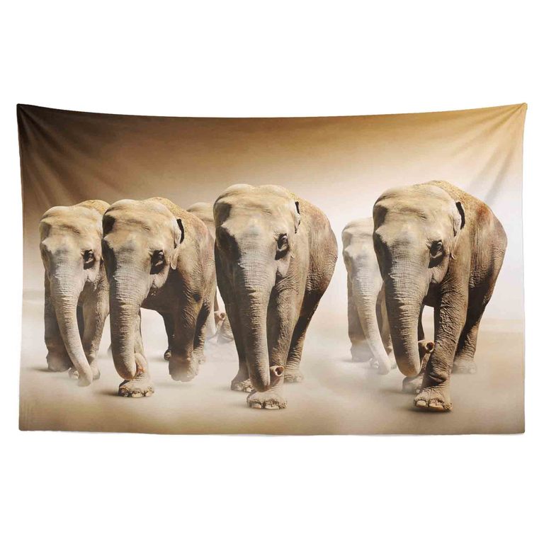 Tapestr Stádo slonů