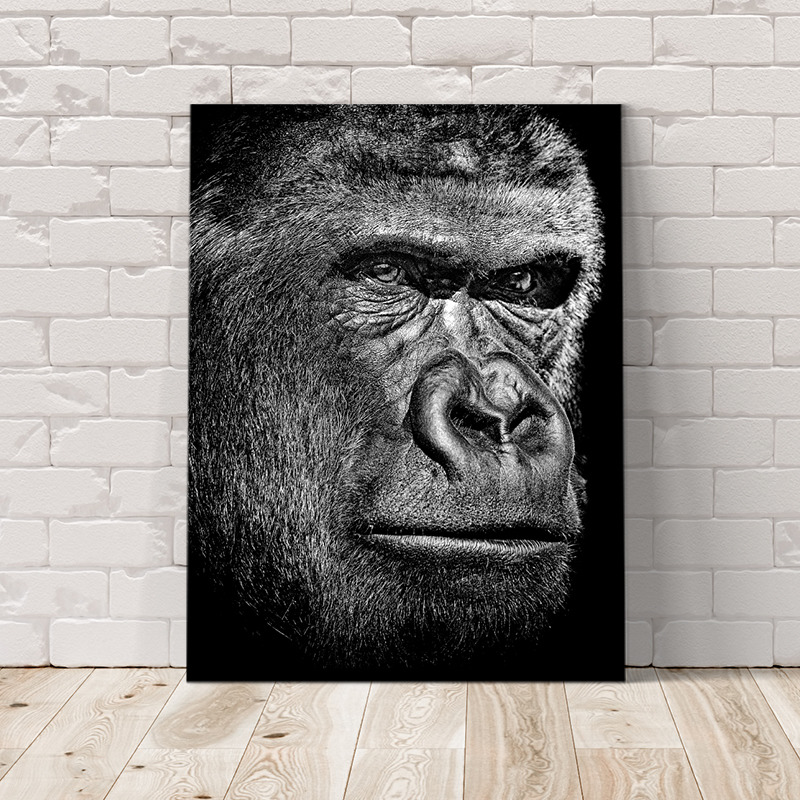 Obraz Gorilla (Rozměr obrazu: 120x80)
