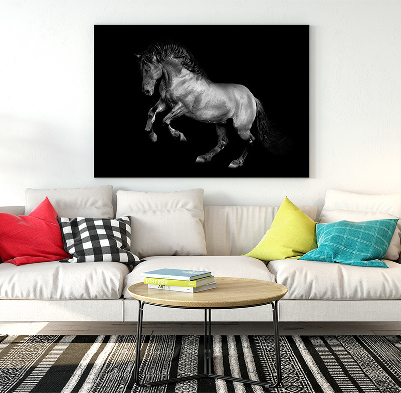 Obraz Kůň (Rozměr obrazu: 120x80)