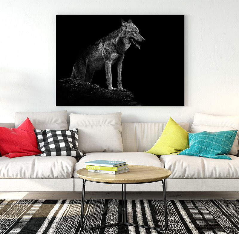 Obraz Wolf (Rozměr obrazu: 120x80)