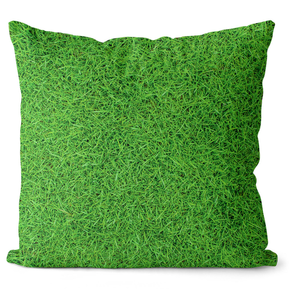 Polštář Grass (Velikost: 55 x 55 cm)