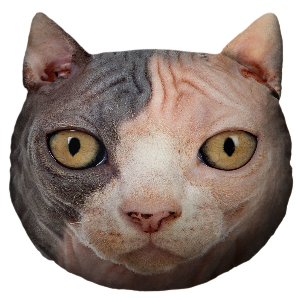 Kočičí hlava – Sfinx (Velikost kočičí hlavy: L)