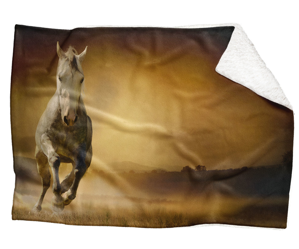 IMPAR Fleecová deka Kůň v poli 150x120 cm (Rozměr : 200 x 140 cm, Podšití beránkem: ANO)